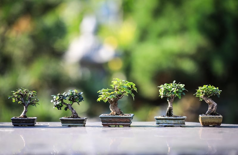 Indoor Vertical Garden